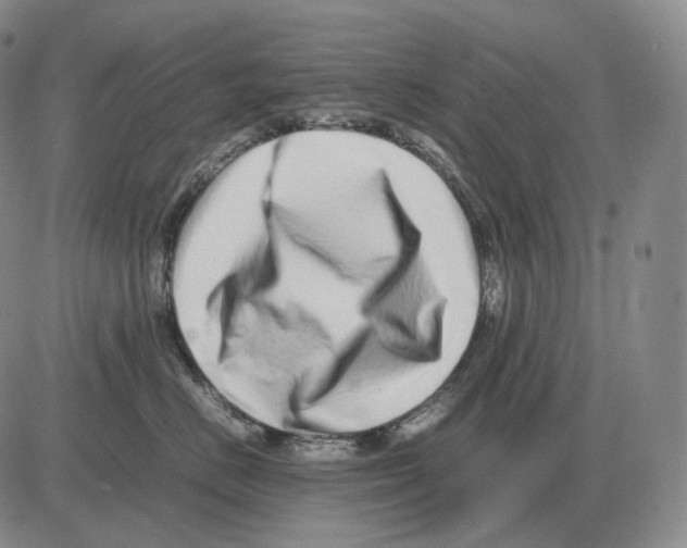 X0000082750670200702240040