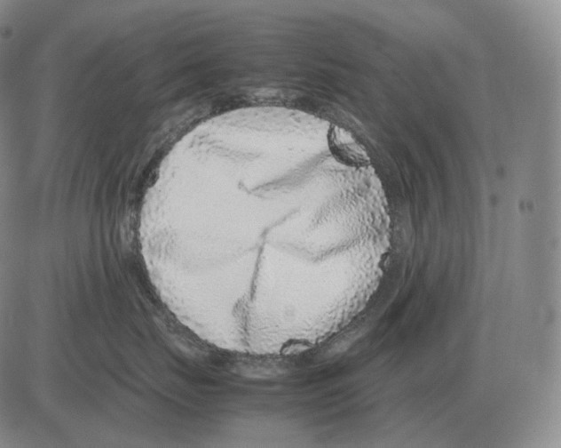 X0000082750671200702240040