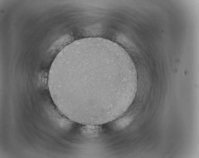 X0000082750672200702240040