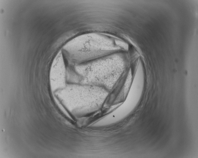 X0000082750673200702240039