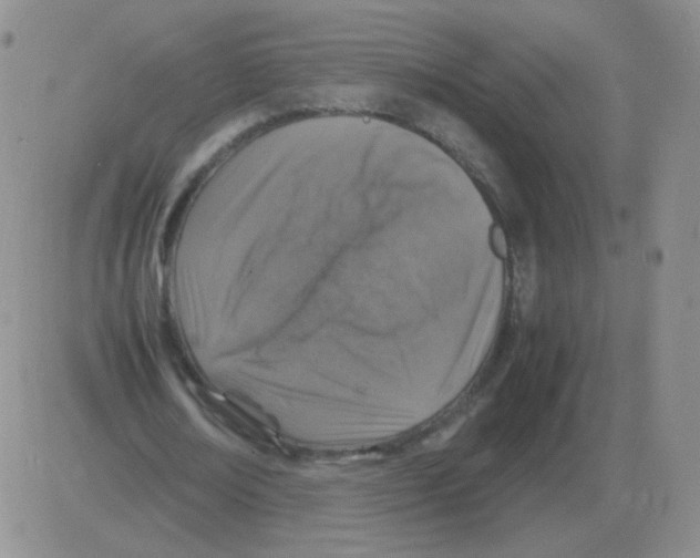 X0000082750674200702240039