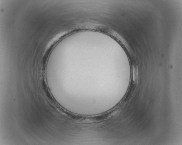 X0000082750675200702240039