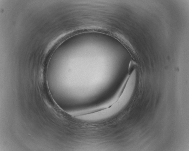 X0000082750676200702240039