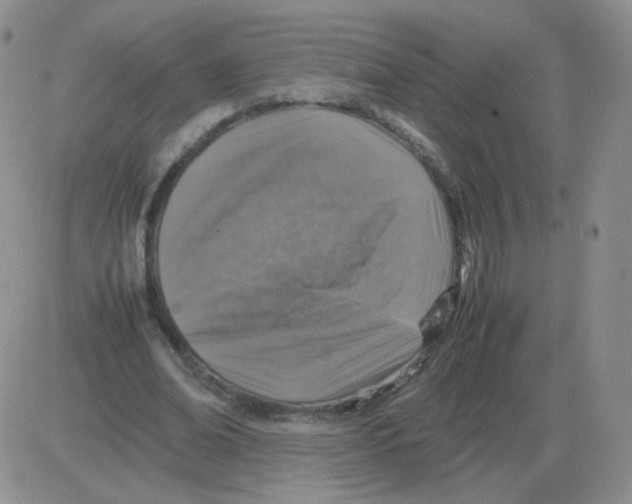 X0000082750678200702240039