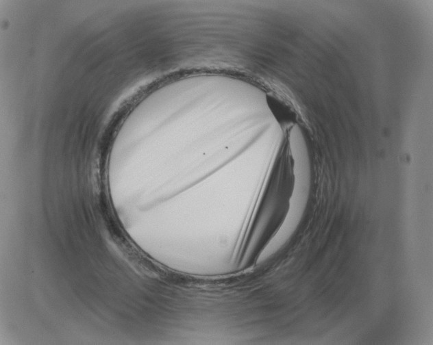 X0000082750680200702240039