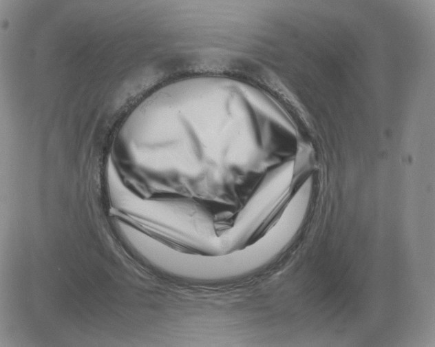 X0000082750681200702240039