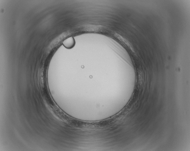 X0000082750682200702240039