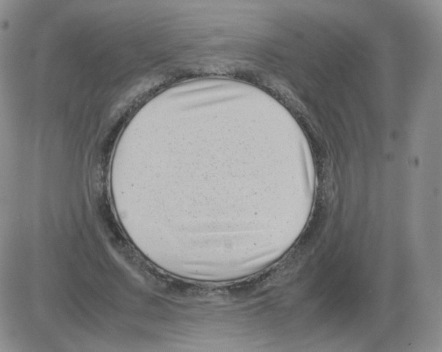 X0000082750683200702240039