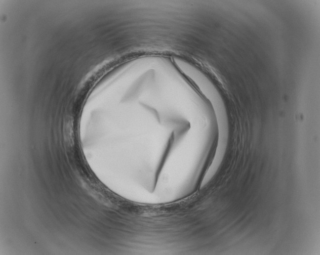 X0000082750684200702240039