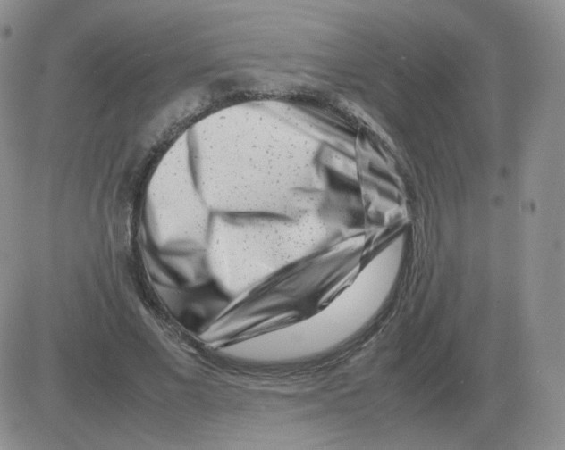 X0000082750685200702240039