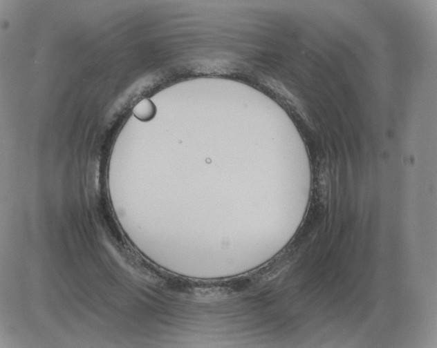 X0000082750686200702240039