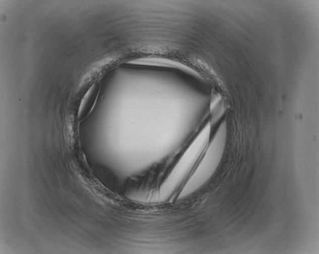 X0000082750688200702240039