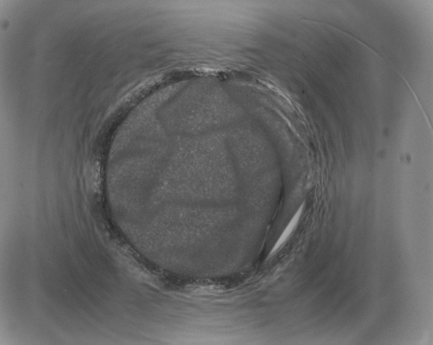 X0000082750689200702240039