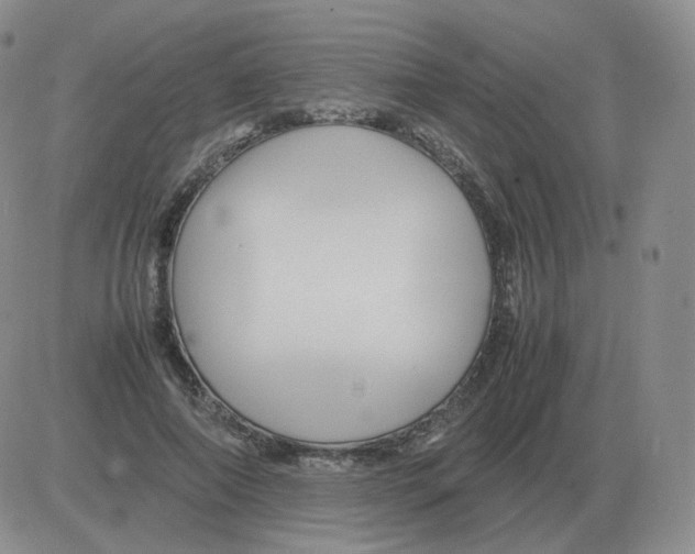 X0000082750690200702240039