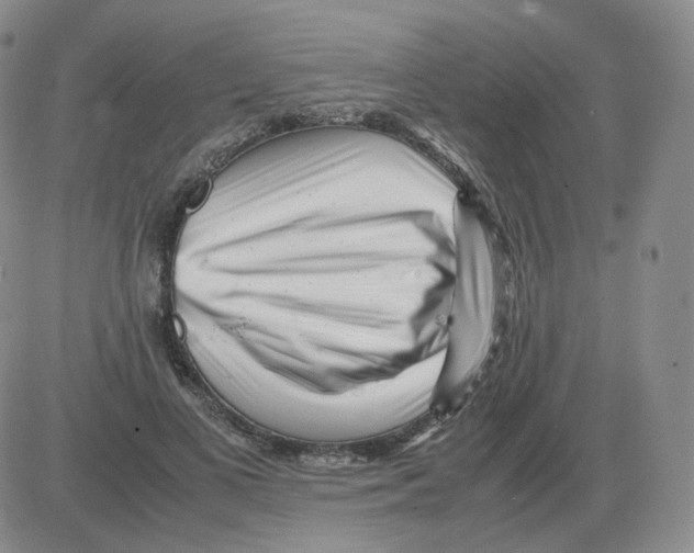 X0000082750693200702240039