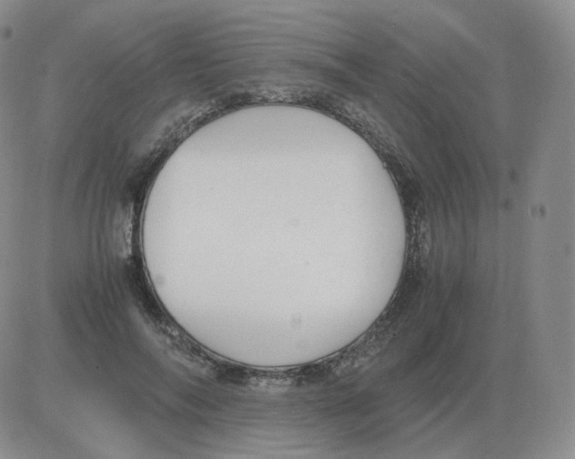 X0000082750694200702240039