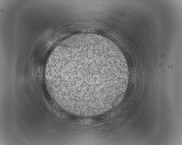 X0000082750695200702240039