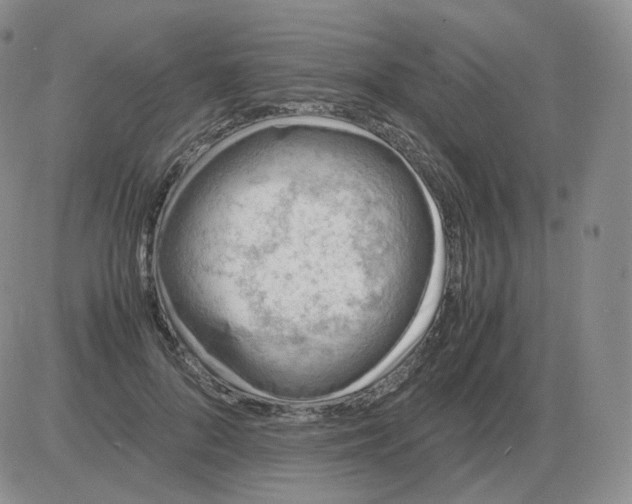 X0000082750696200702240039