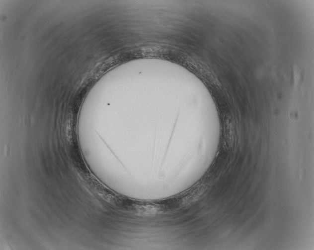 X0000082750698200702240039