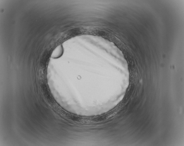 X0000082750699200702240039