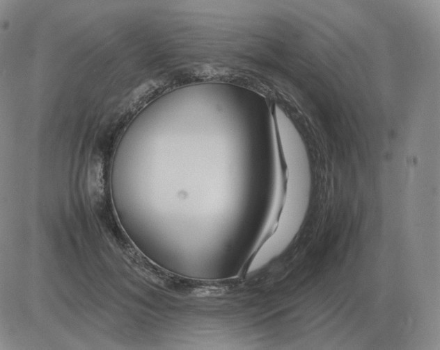 X0000082750700200702240039