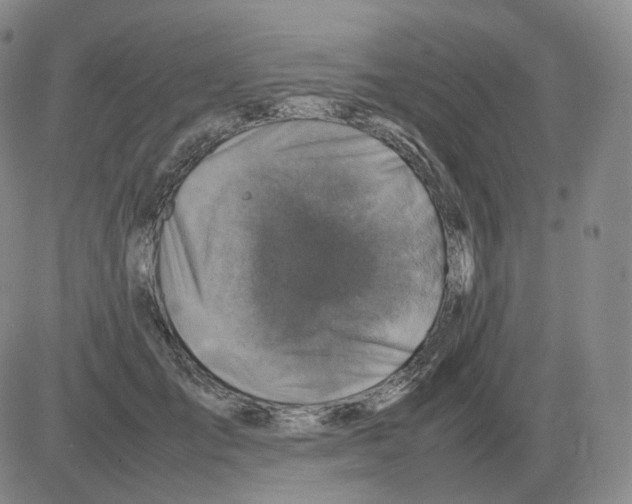 X0000082750701200702240039