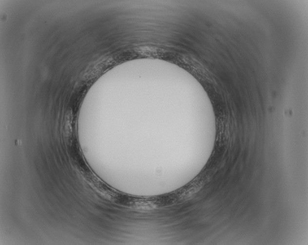 X0000082750702200702240039