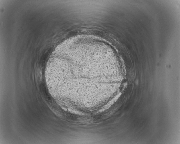 X0000082750703200702240039