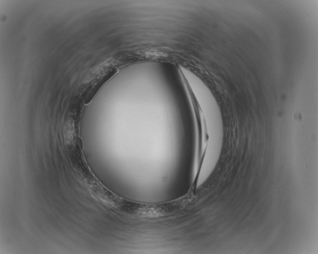 X0000082750704200702240039