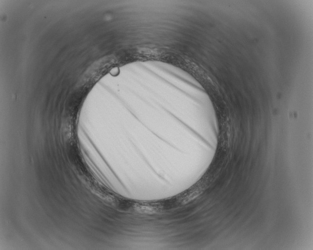 X0000082750706200702240039