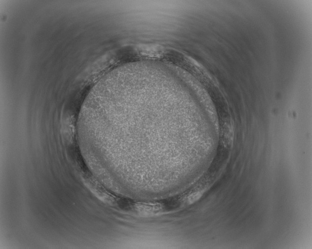 X0000082750707200702240039