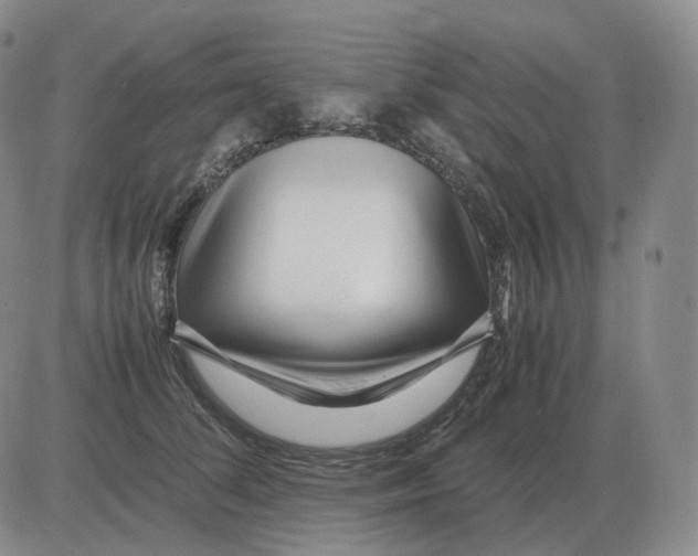 X0000082750708200702240039