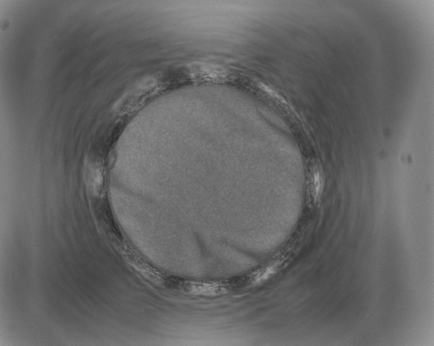 X0000082750709200702240039