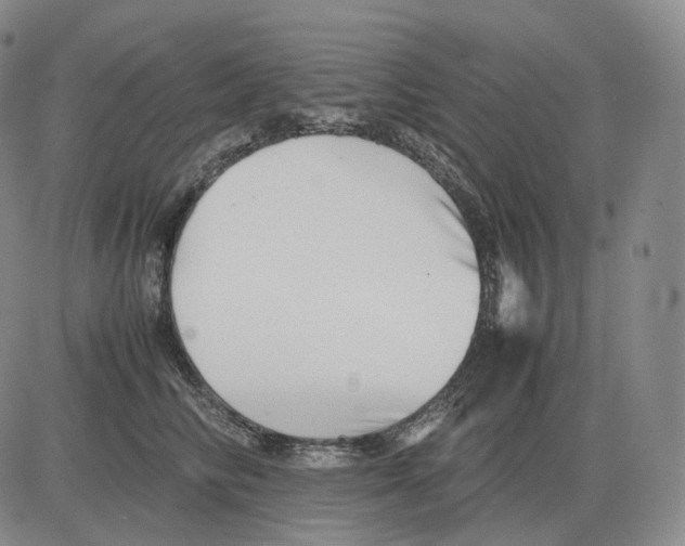 X0000082750710200702240039