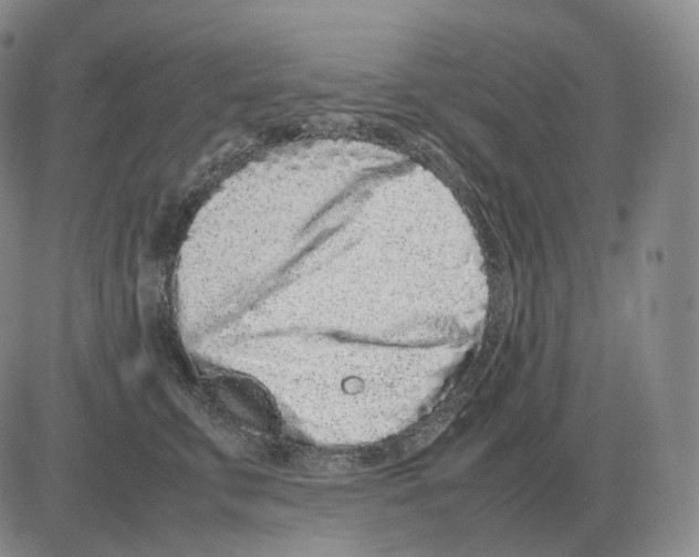 X0000082750711200702240038