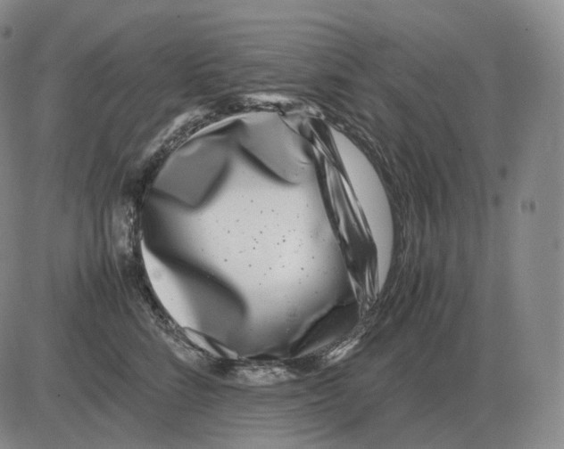 X0000082750712200702240038