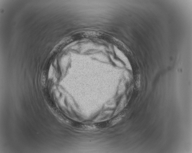 X0000082750715200702240038