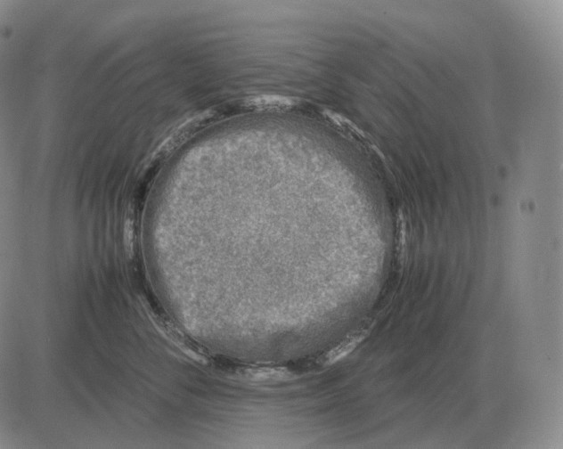 X0000082750716200702240038