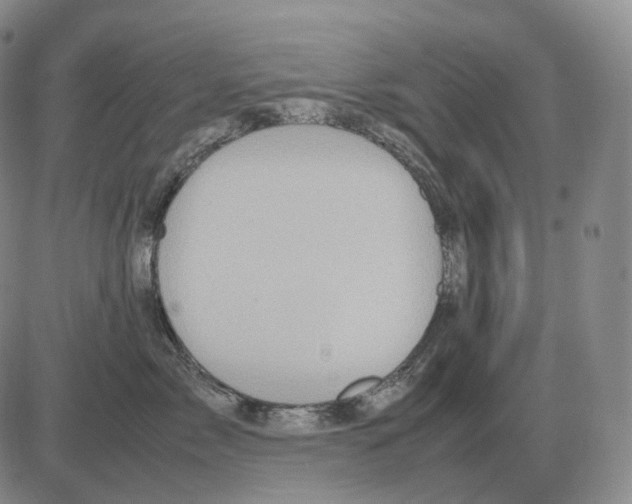 X0000082750717200702240038