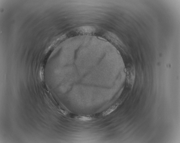 X0000082750718200702240038