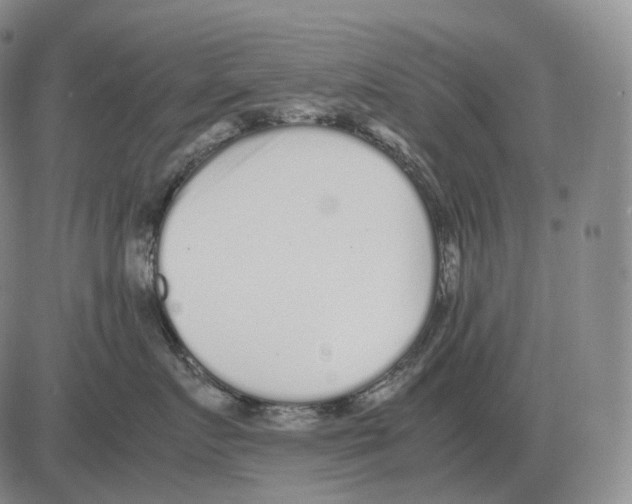 X0000082750719200702240038