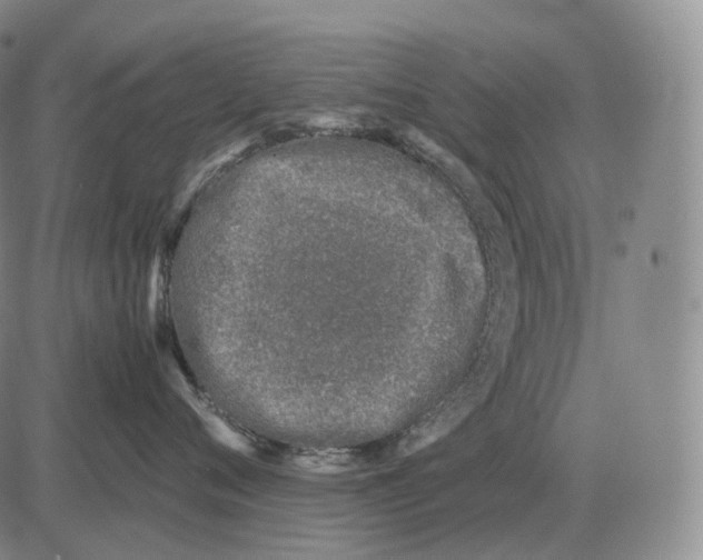 X0000082750720200702240038