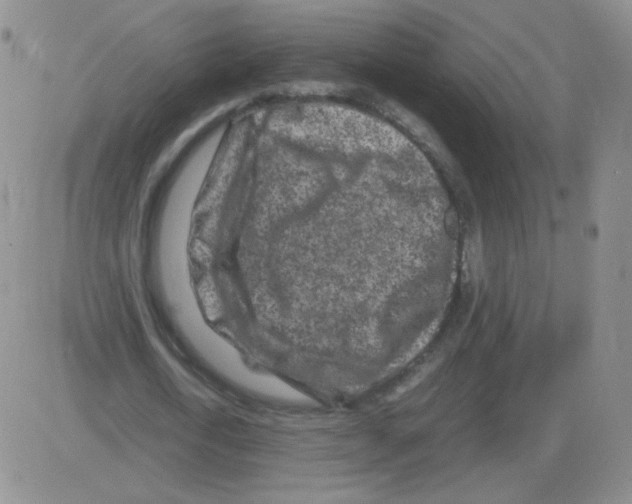 X0000082750722200702240038