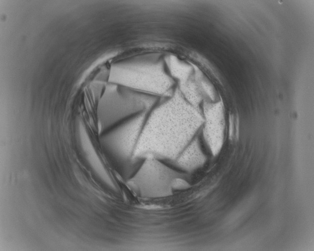 X0000082750723200702240038