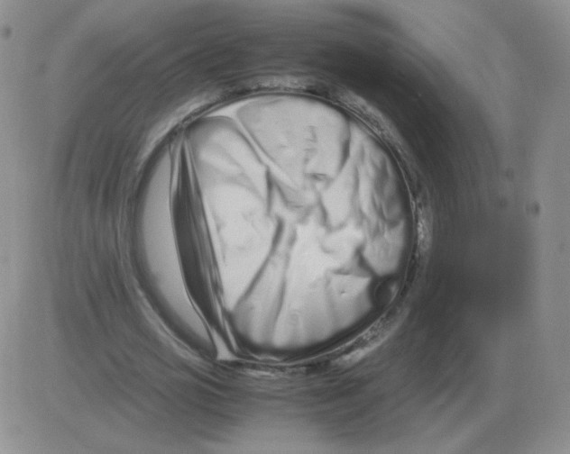 X0000082750725200702240038