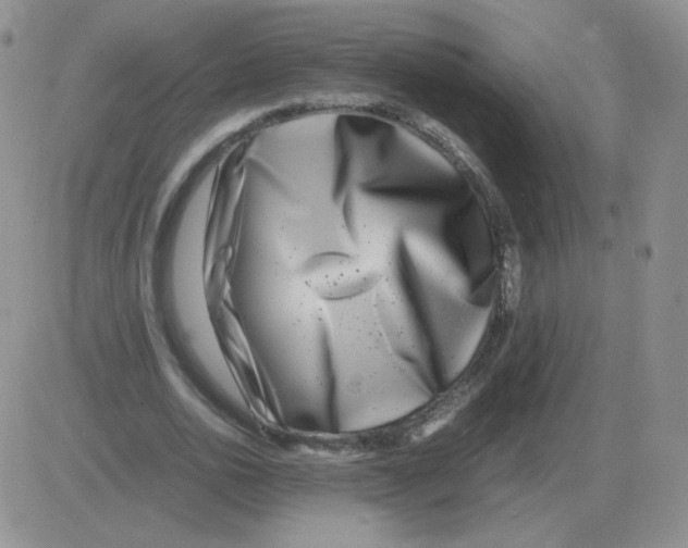 X0000082750726200702240038