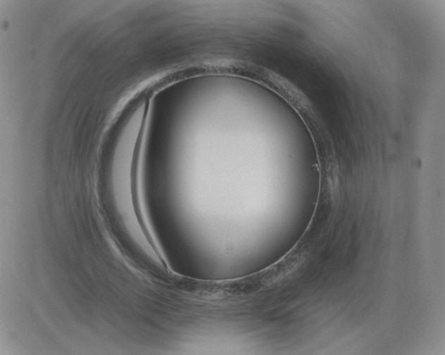 X0000082750728200702240038