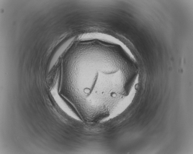 X0000082750729200702240038