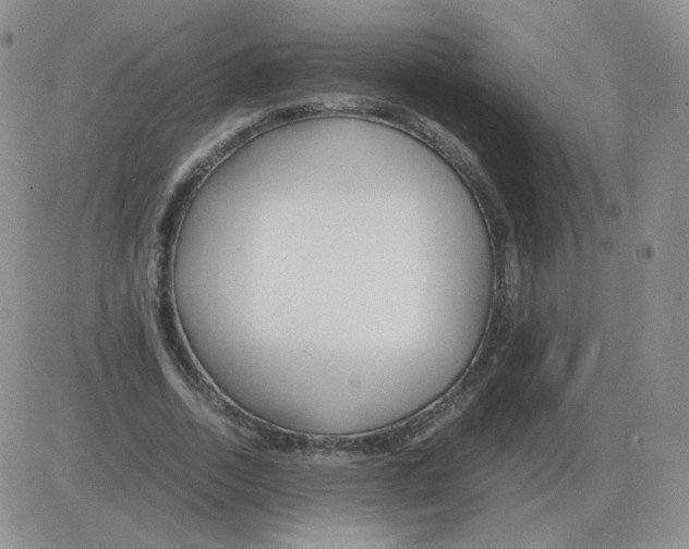 X0000082750730200702240038