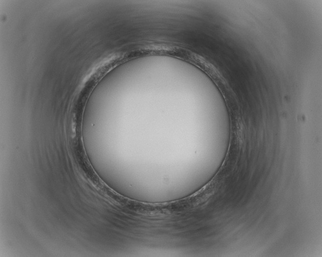 X0000082750731200702240038